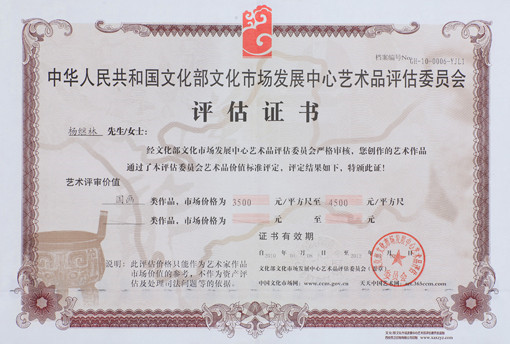 评估证书.jpg