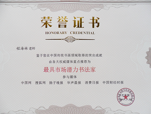 中国网搜狐等 6网荣誉证书SAM_1516.jpg
