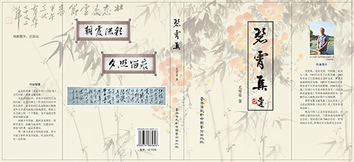 碧霄集（封面）.jpg