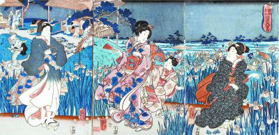 日本浮世绘《江户之花菖蒲》.jpg