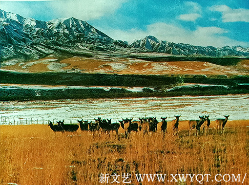 吴万福作品4.jpg