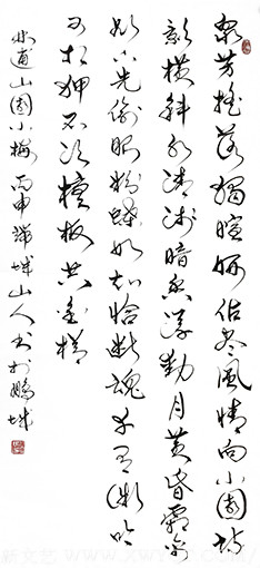 赵善坤《梅花诗》.jpg