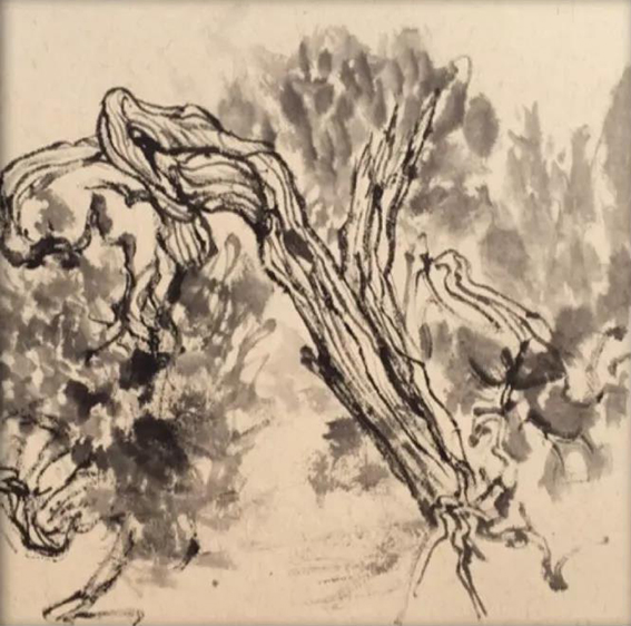 张鸿然作品5 水墨写生作品之五.jpg
