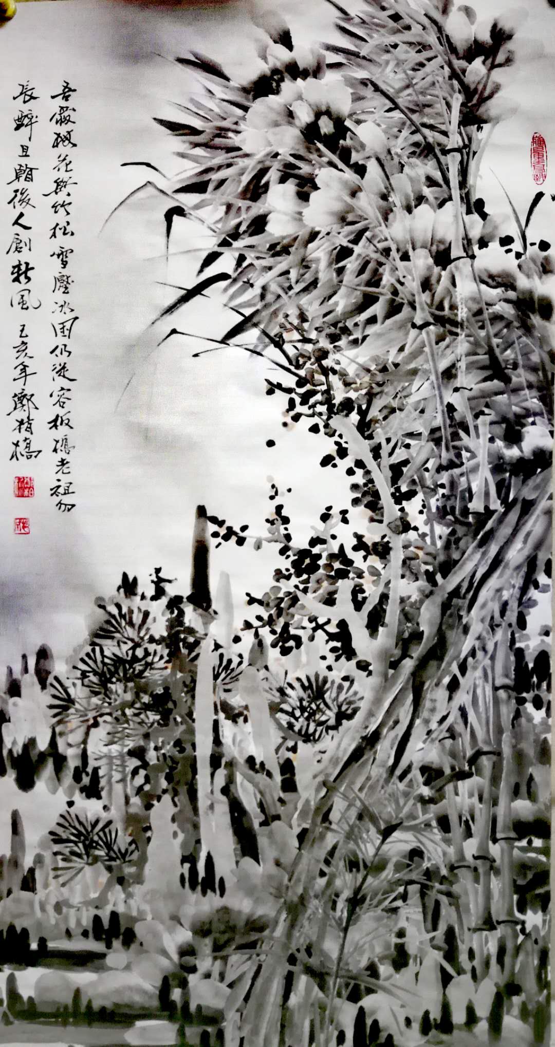 1593504730775515.jpg