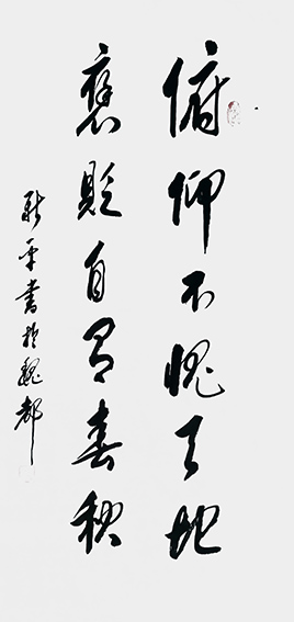 4杨新平作品 《俯仰无愧天地，褒贬自有春秋》.jpg