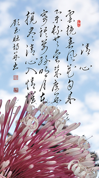 1顾玉旺作品 《清心》释文：云挽春风花自来，举杯共赏几度开。寄语前缘明月在 ，揽尽清心入情怀。.jpg