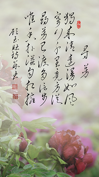 4顾玉旺作品 《寻芳》释文：独来清远漫如风，寄行千里竟方从。寻芳已渡多信步，唯香扑溢自相拥。.jpg