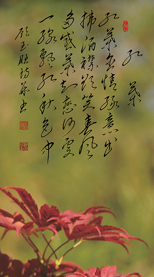 9顾玉旺作品 《红叶》释文：红叶含情绿意出，拂洒襟欲笑春风。多感叶知恋何处，一线飘红秋色中。.jpg