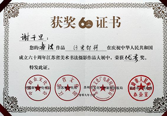 2009年在庆祝中华人民共和国成立六十周年江苏省美术书法摄影作品大展中，荣获优秀奖证书.jpg