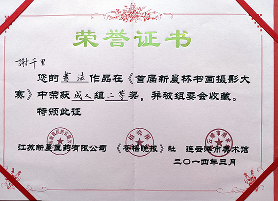 2014年在首届新晨杯书画摄影大赛中荣获成人组二等奖荣誉证书.jpg