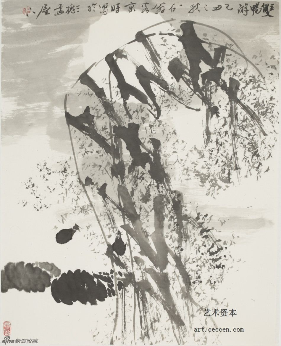 2009双鸭游