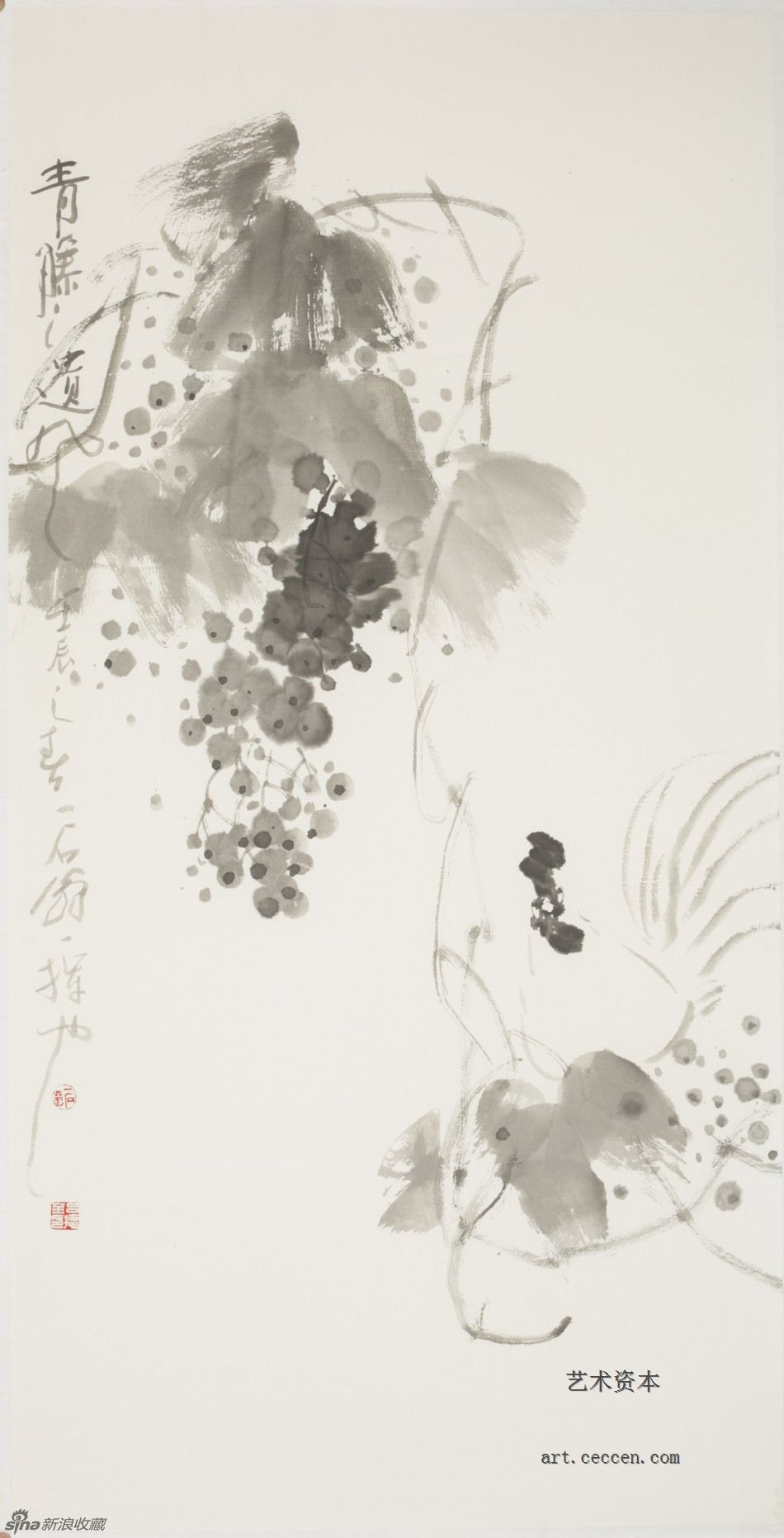 2012青藤之遗风