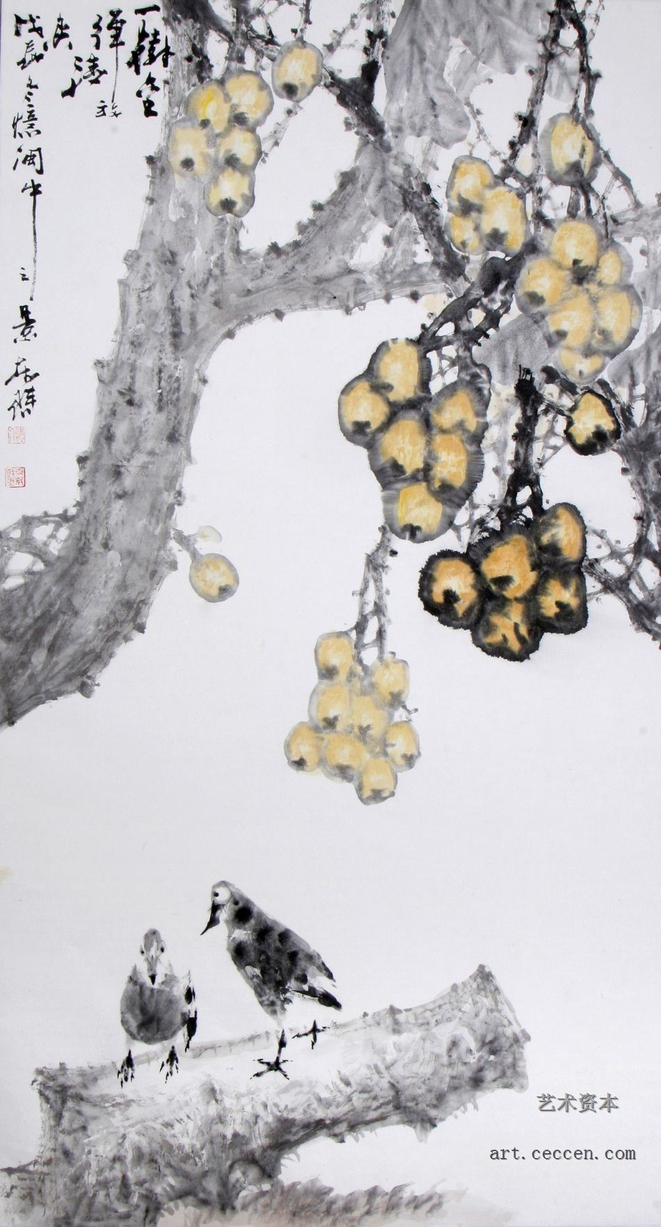 一树金弹放清香