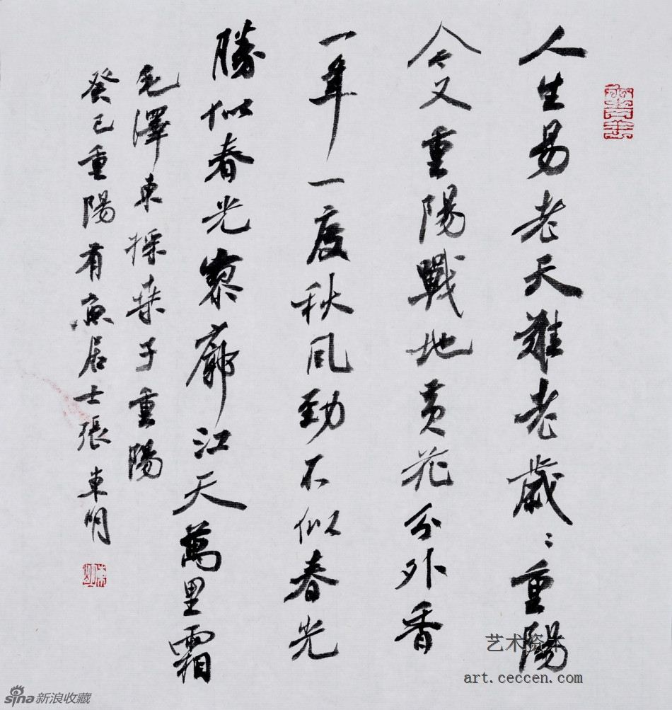 张东明作品欣赏(3)