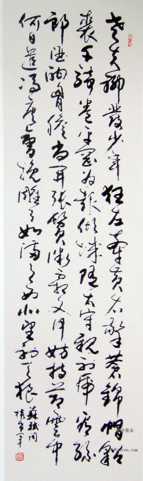 权希军作品欣赏(10)