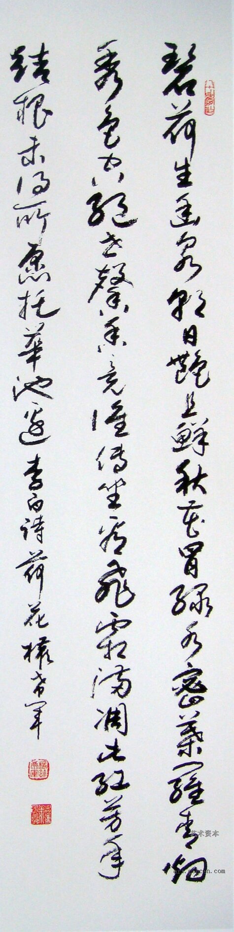 权希军作品欣赏(16)