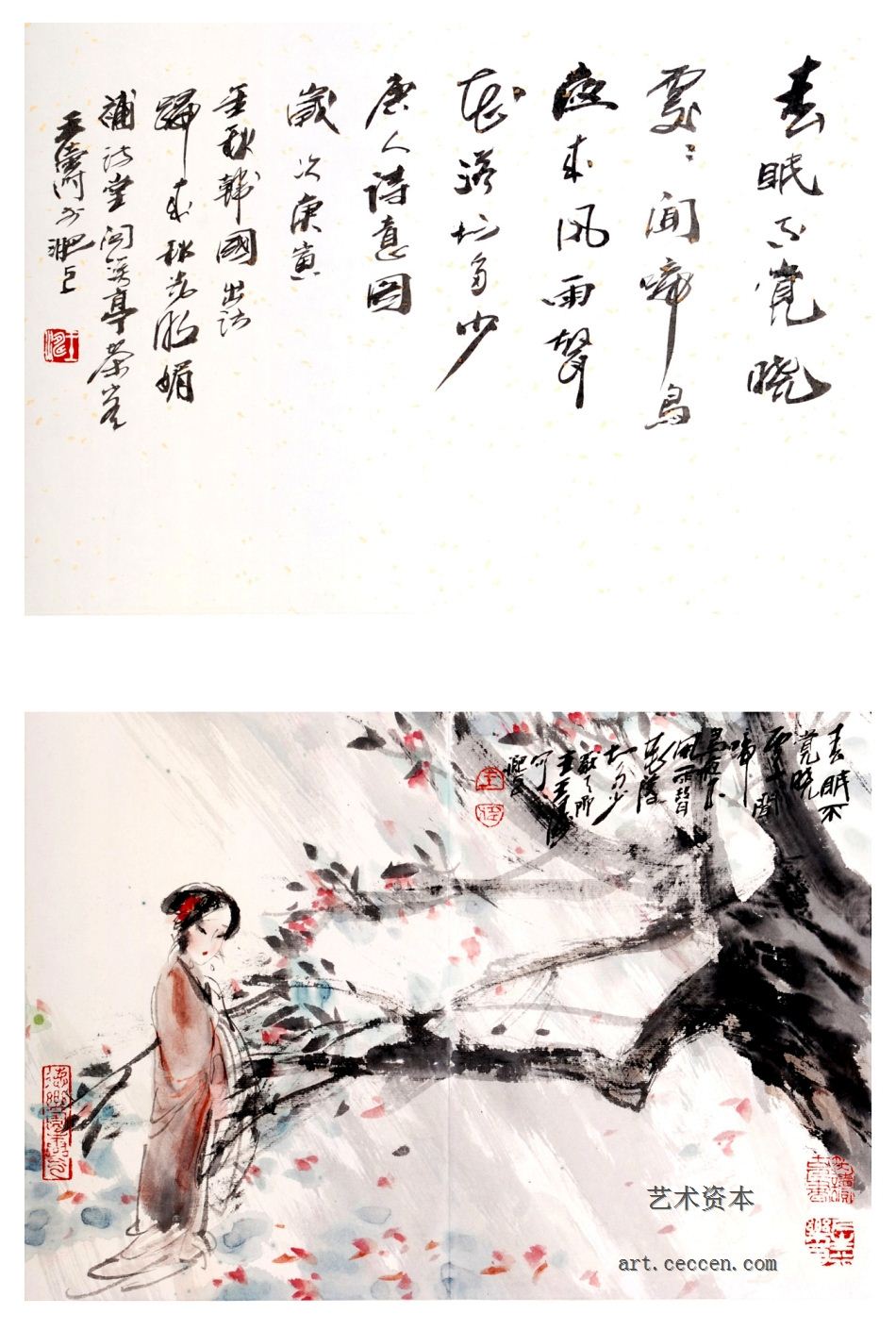 王涛作品欣赏(71)