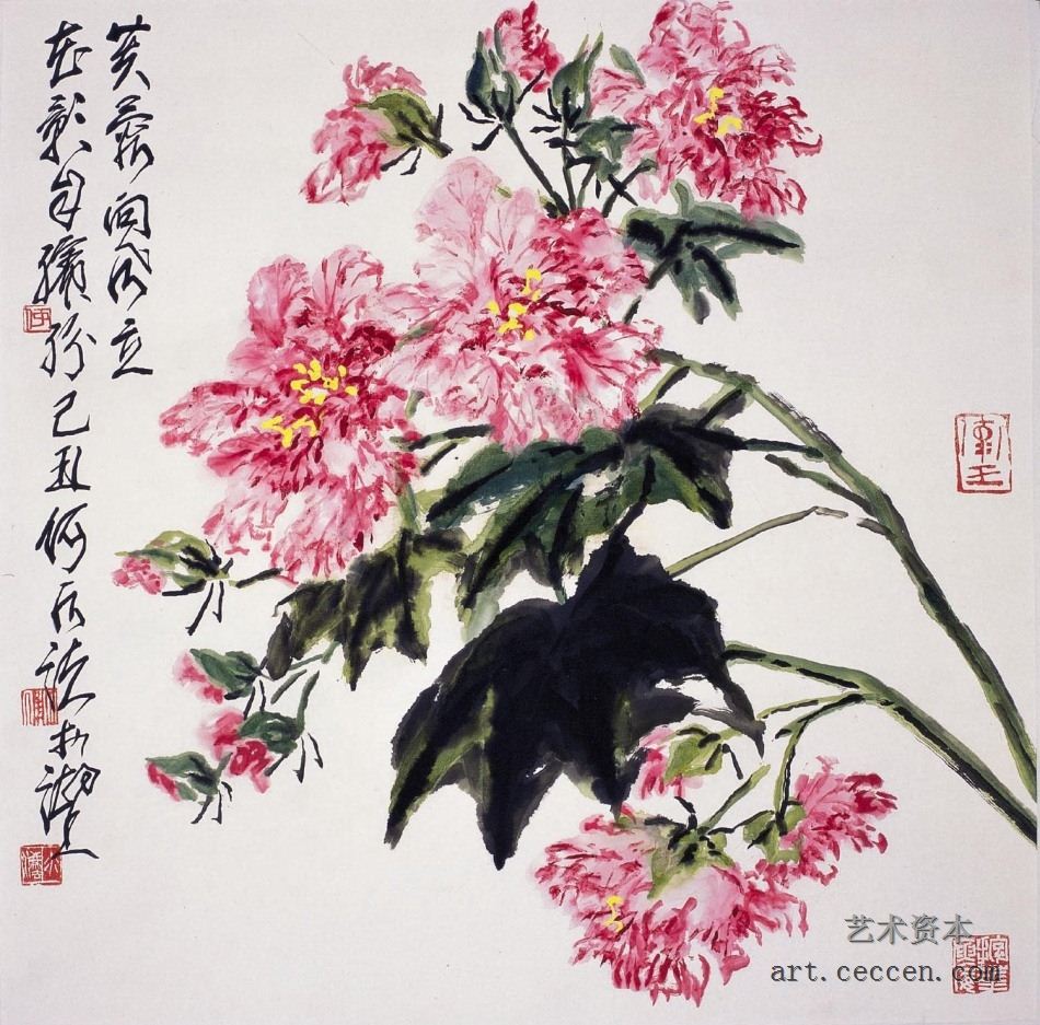 芙蓉2009