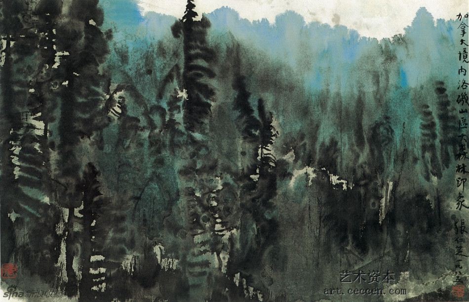 落基山区森林印象