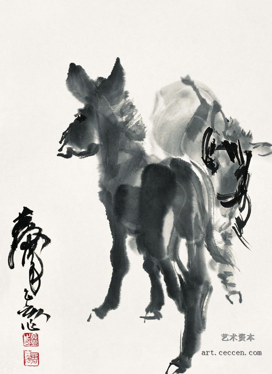 驴