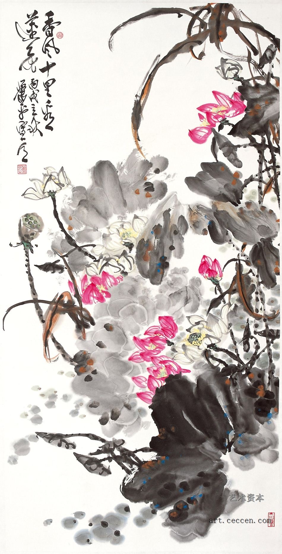 香风十里看莲花