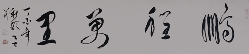 《鹏程万里》