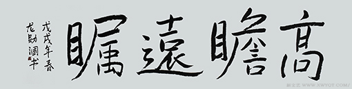 《高瞻远瞩》