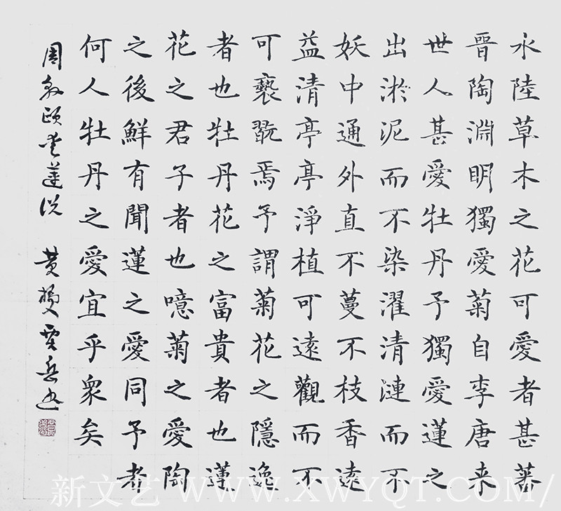 贾岳作品28