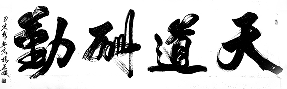 杨茗媛作品16
