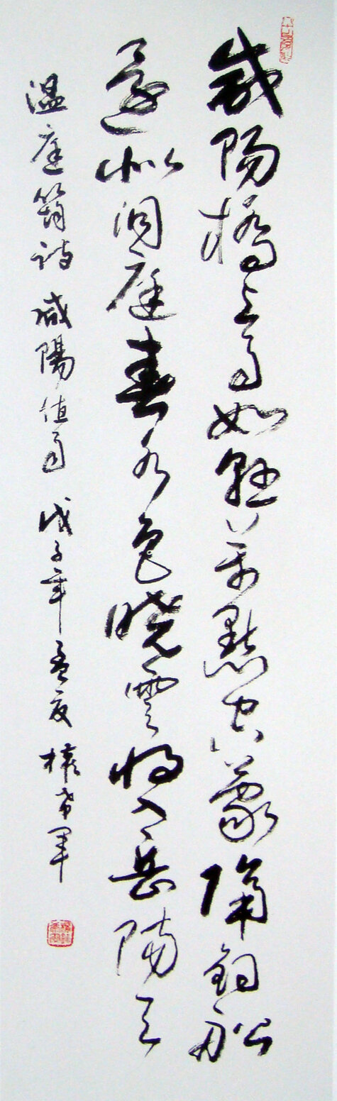权希军作品欣赏(12)