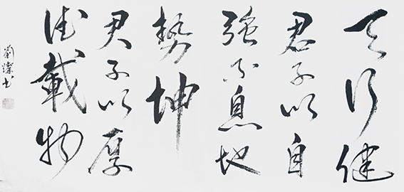 刘灿作品7《天行健》