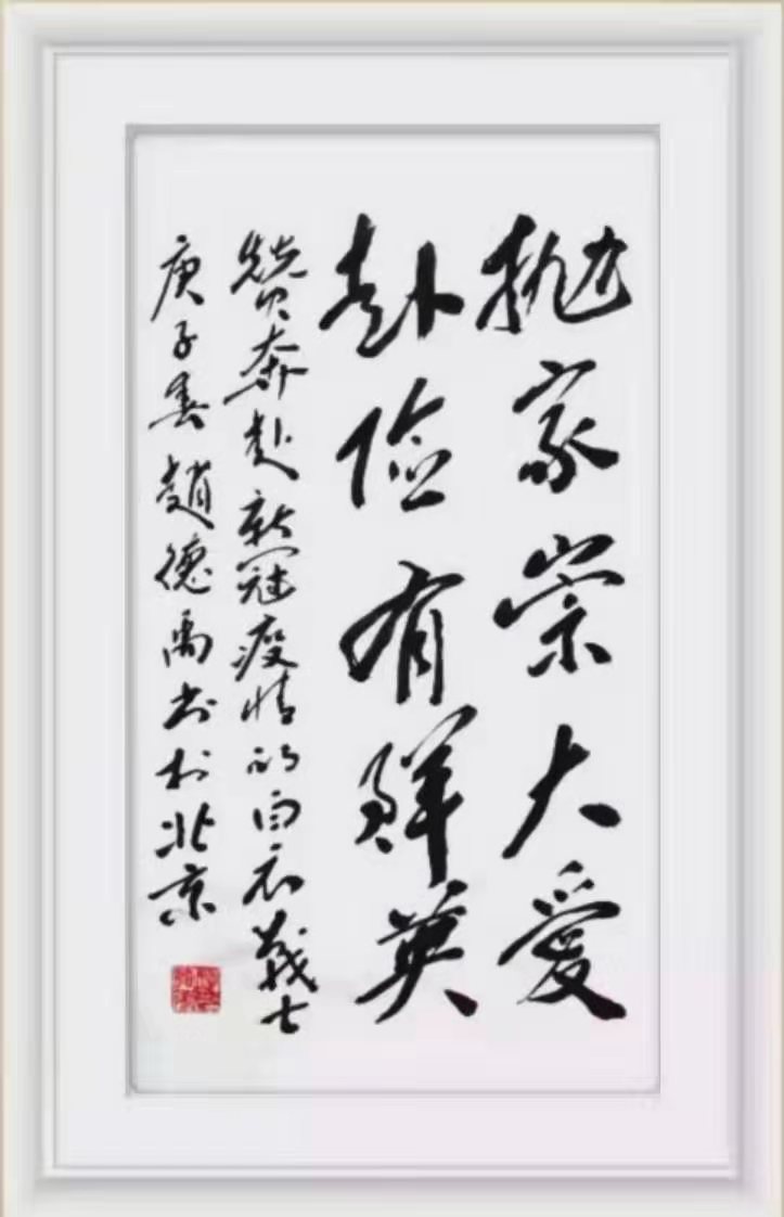 赵德禹作品14《赞奔赴新冠疫情的白衣战士》