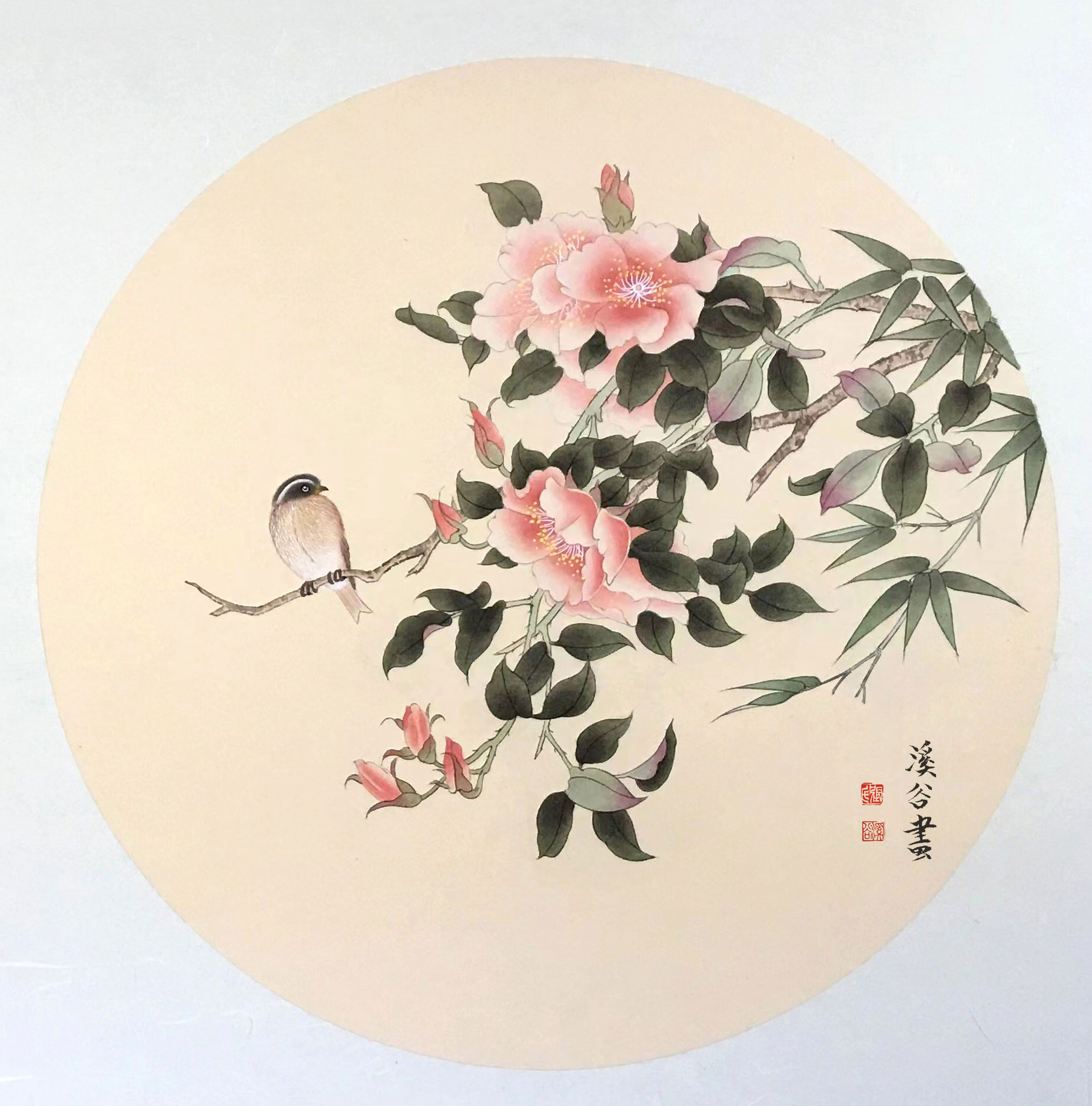 张晓娟《花鸟小品之二》50×50cm
