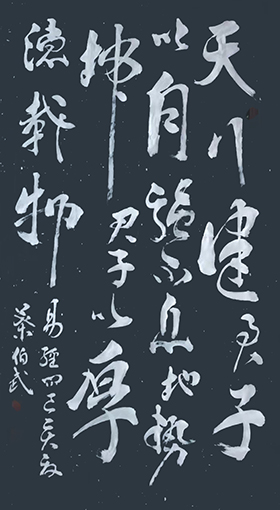 叶伯武作品8《天行健君子以自强不息 地势坤君子以厚德载物》.jpg