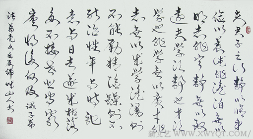 赵善坤书法作品《诸葛诫子篇》
