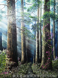 《森林之光》60X80