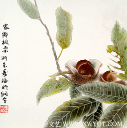 《家乡板栗》