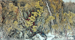 《花坪印象》