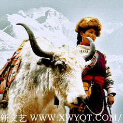 慈向群油画《雪山的女儿》