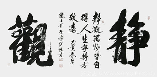 雷惯性作品9《静观》