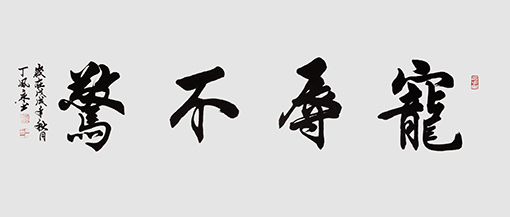 丁凤永作品3