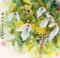 陈明纲作品《珙桐鸽子》