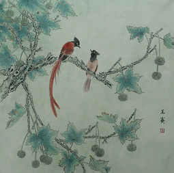 王赛作品《梧桐树上寿带红》规格：64cmX64cm