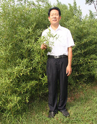 孙成效