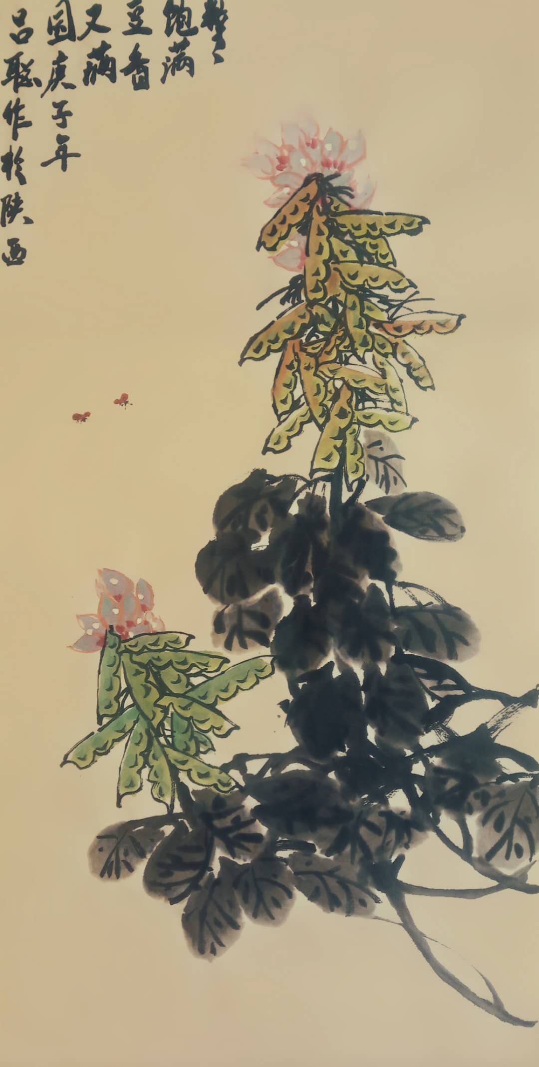 吕聪作品3《豆香又满园》