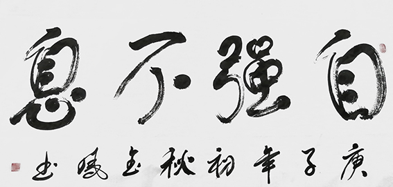 高金凤作品15《自强不息》