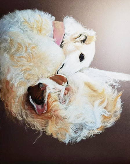 舔犊