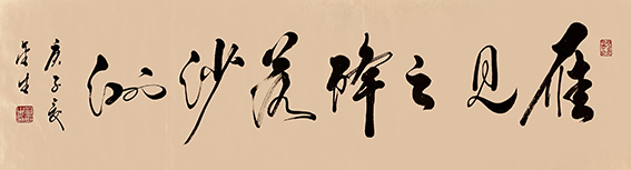 11《雁见之降落沙洲》