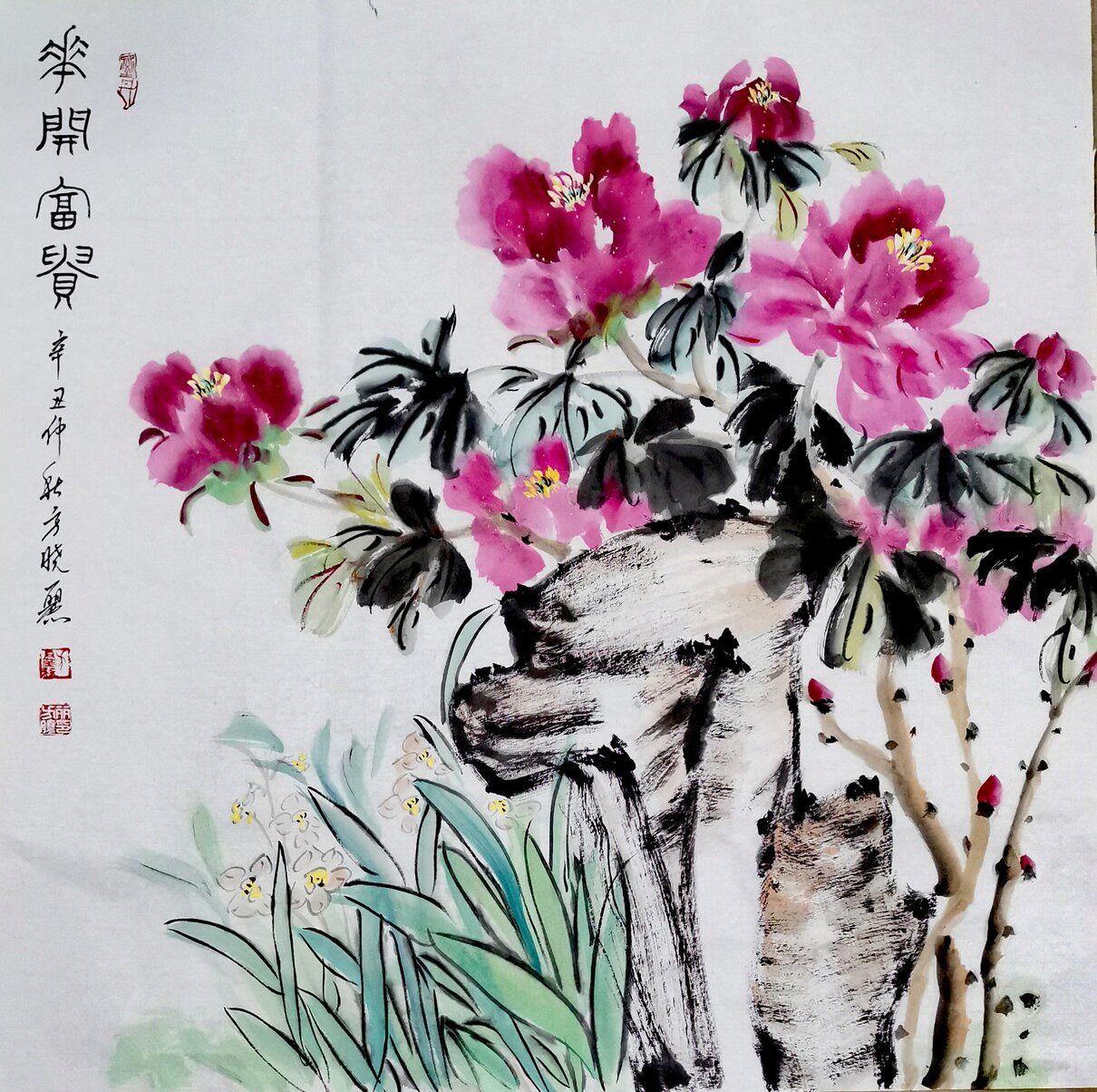 方晓丽《花开富贵》