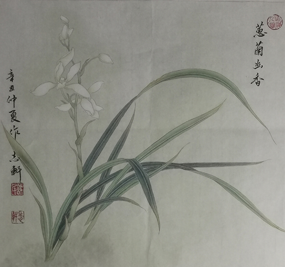 许志轩作品13《蕙兰幽香》